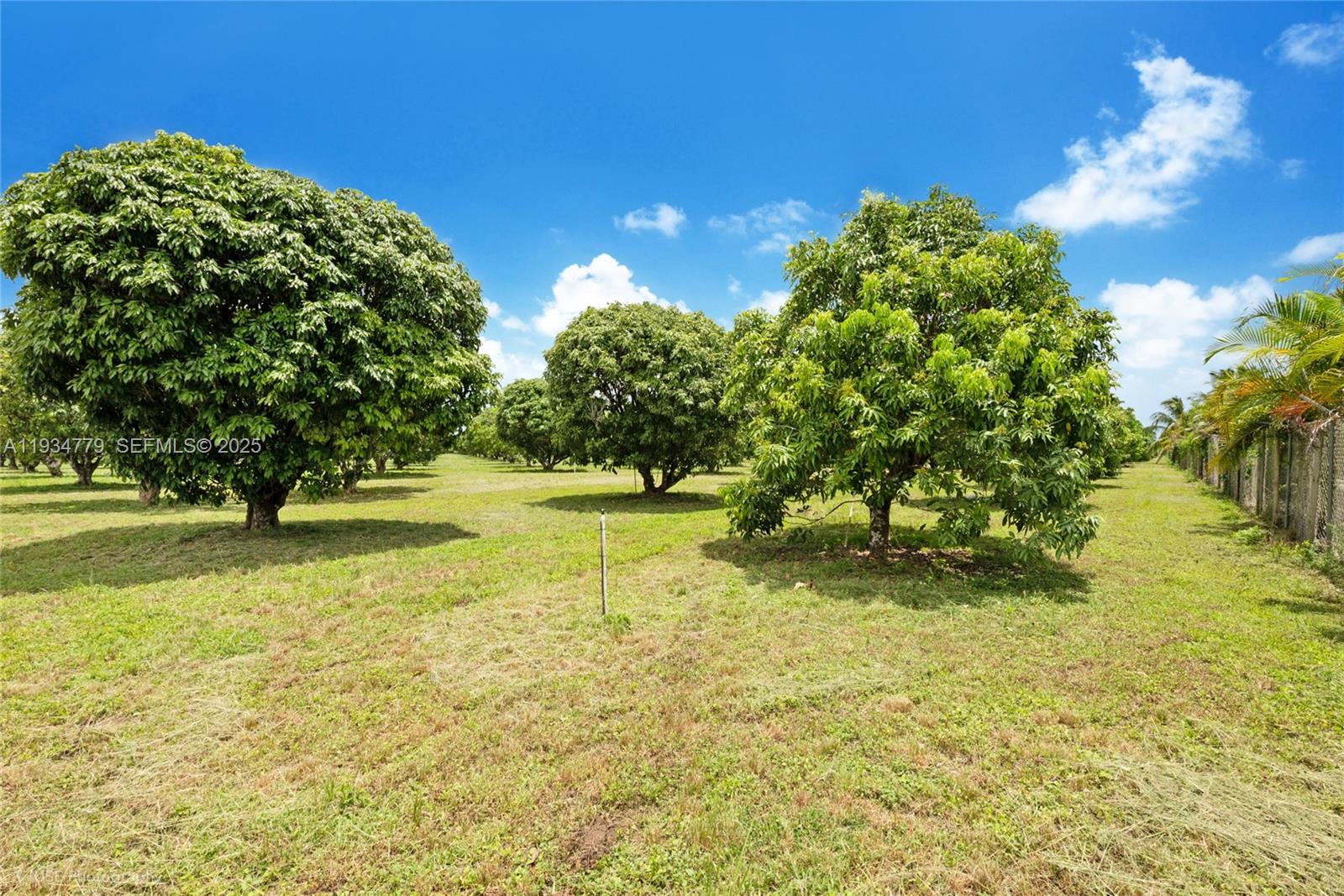 Подробнее / кв.футов $ 2025-12-23 0 Фото