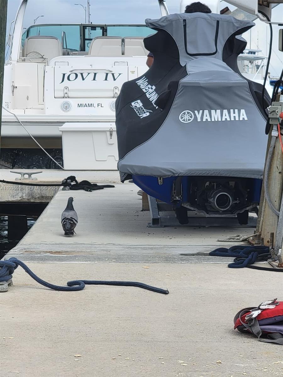   /   кв.футов $ 2025-12-24 0 Фото