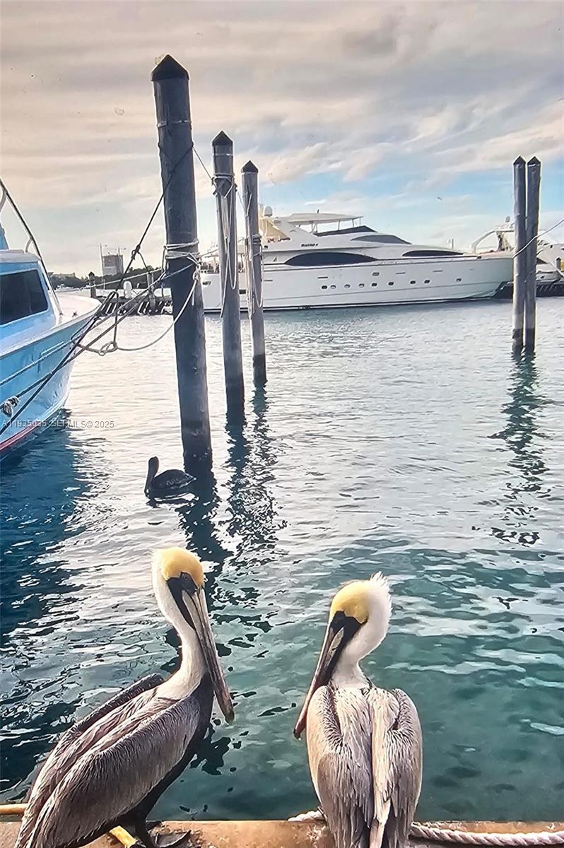   /   кв.футов $ 2025-12-24 0 Фото