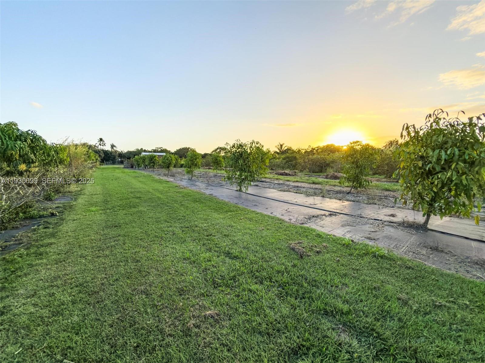   /   sq. ft. $ 2025-12-24 0 Photo