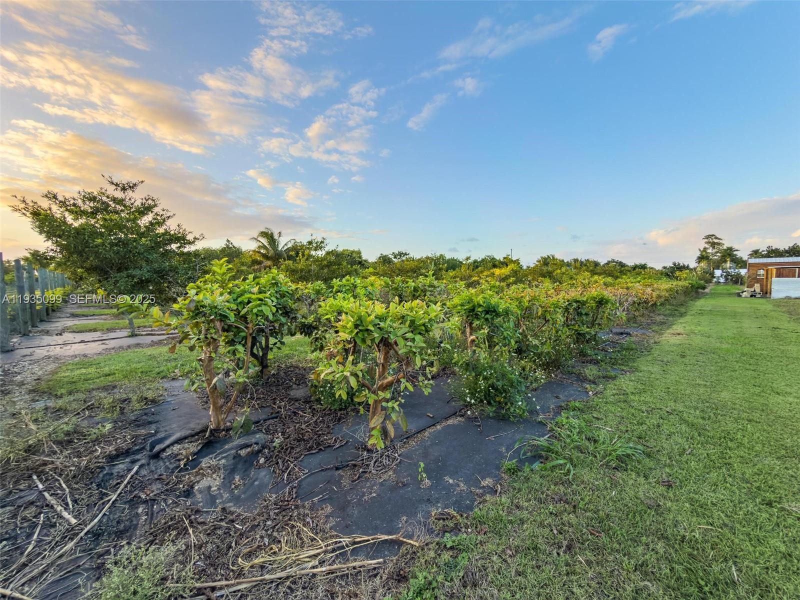   /   sq. ft. $ 2025-12-24 0 Photo