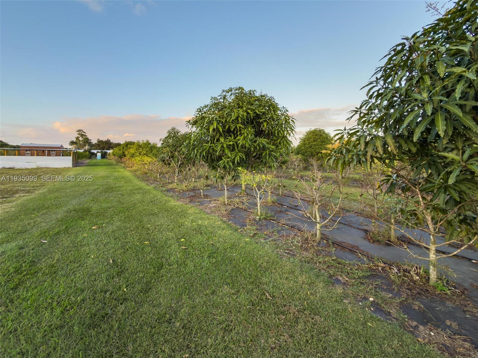   /   sq. ft. $ 2025-12-24 0 Photo