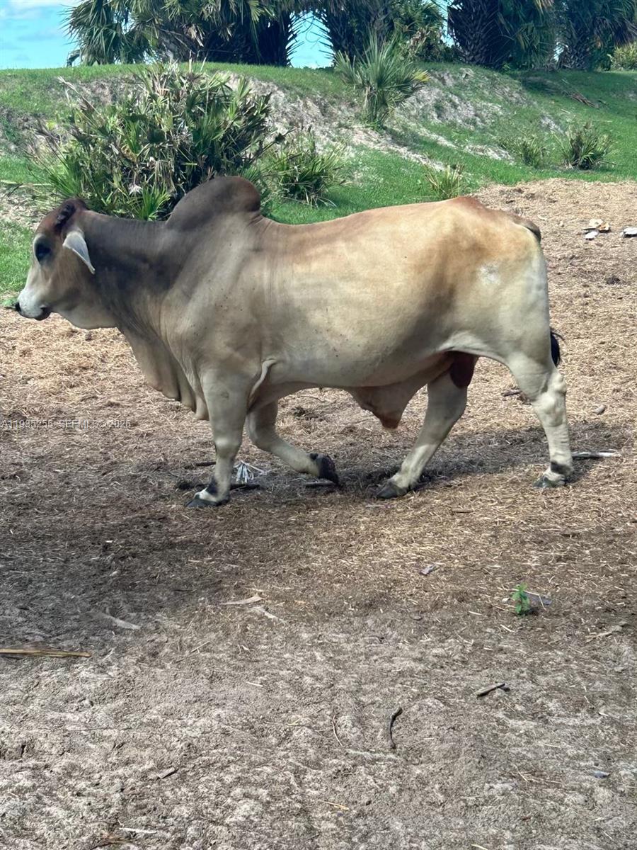 Ver detalles / sq. ft. $ 2026-01-20 0 foto