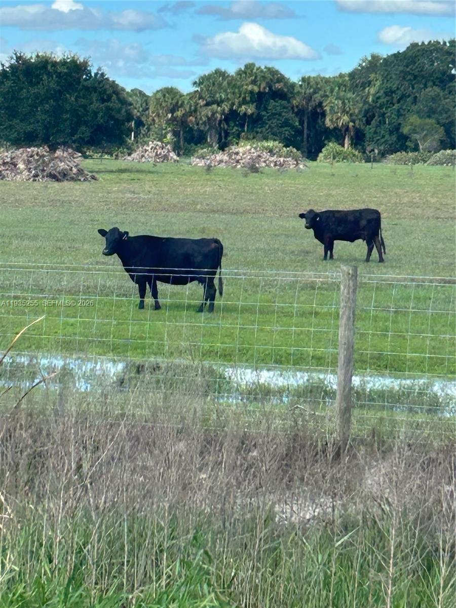 Ver detalles / sq. ft. $ 2026-01-20 0 foto