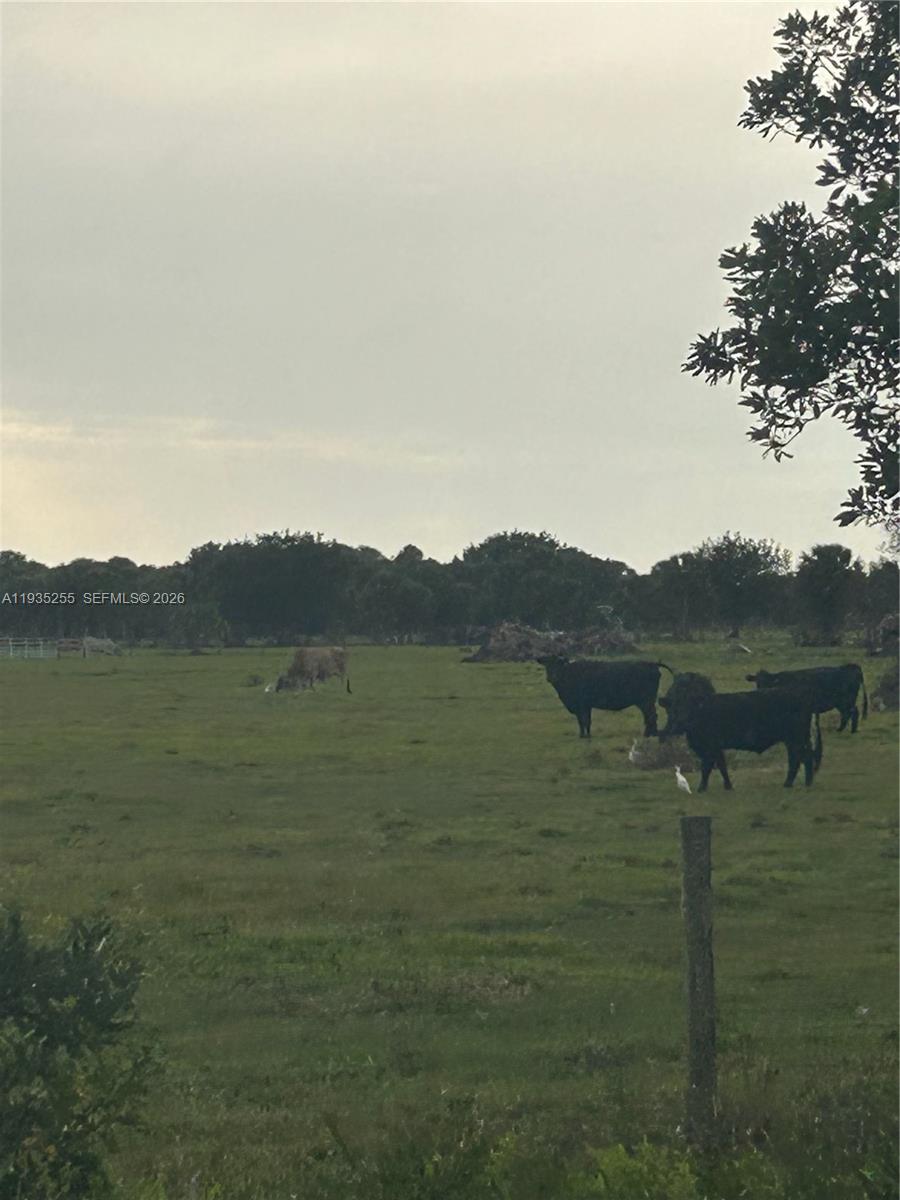 Ver detalles / sq. ft. $ 2026-01-20 0 foto