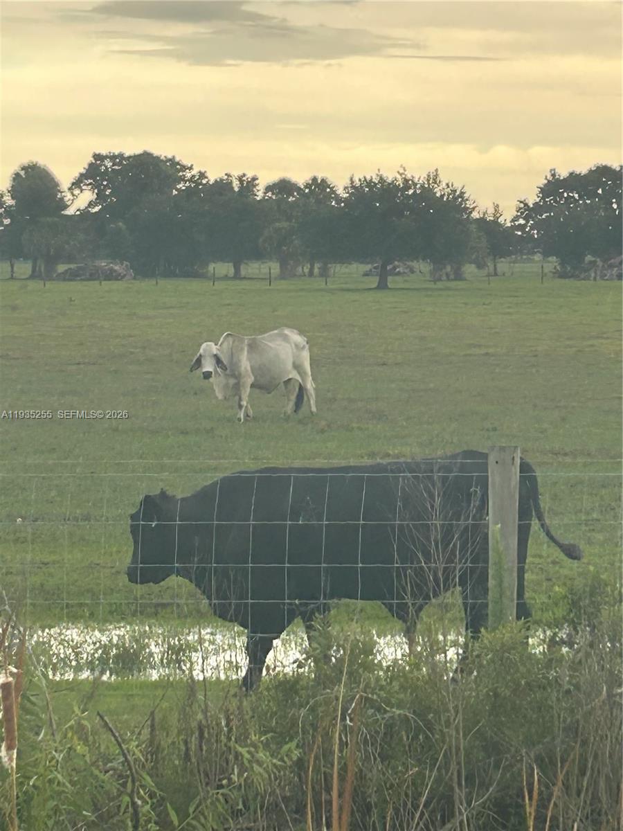 Ver detalles / sq. ft. $ 2026-01-20 0 foto