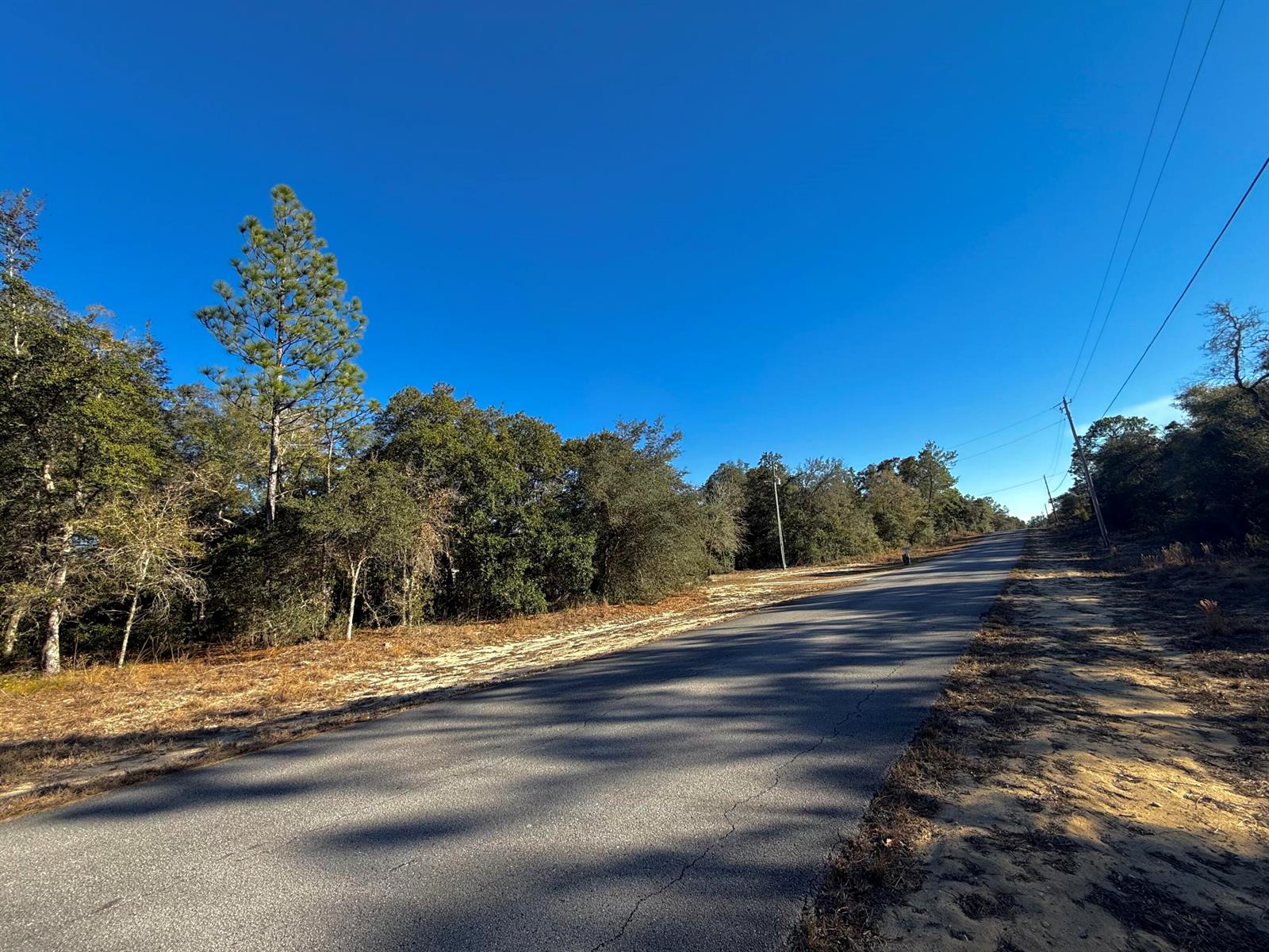   / 0  sq. ft. $ 2026-04-24 0 Photo