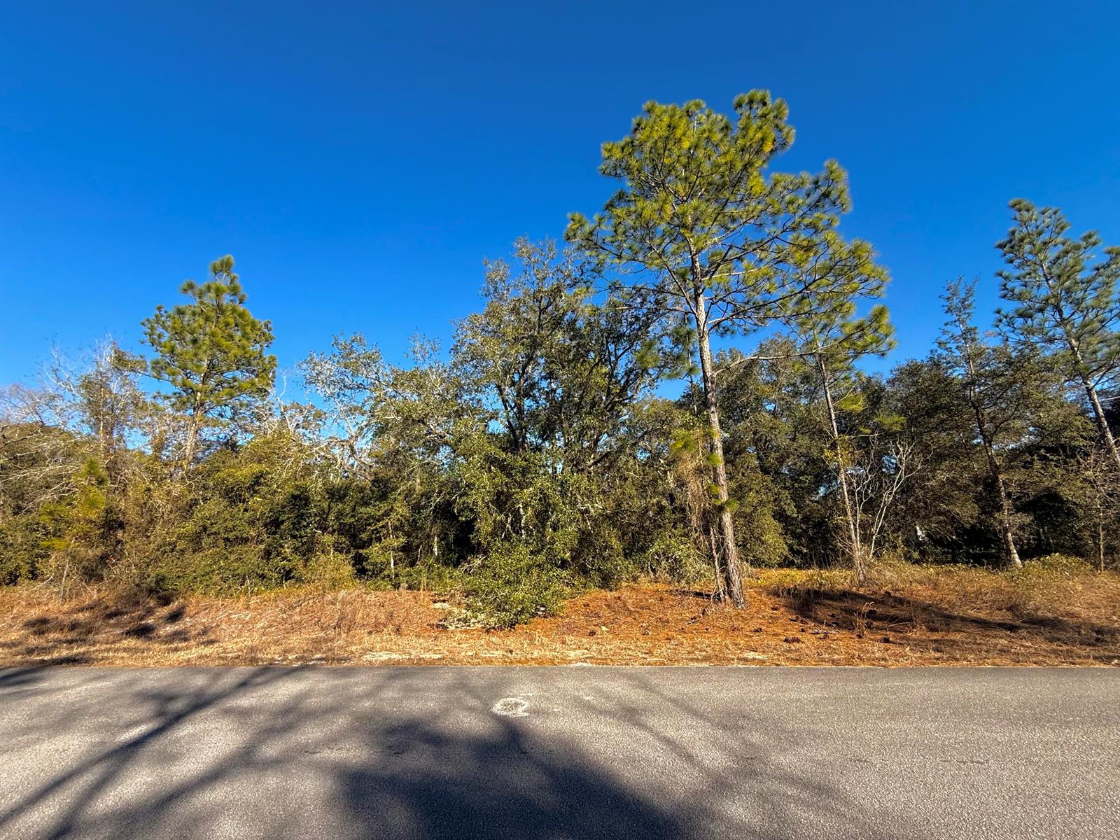   / 0  sq. ft. $ 2026-04-24 0 Photo