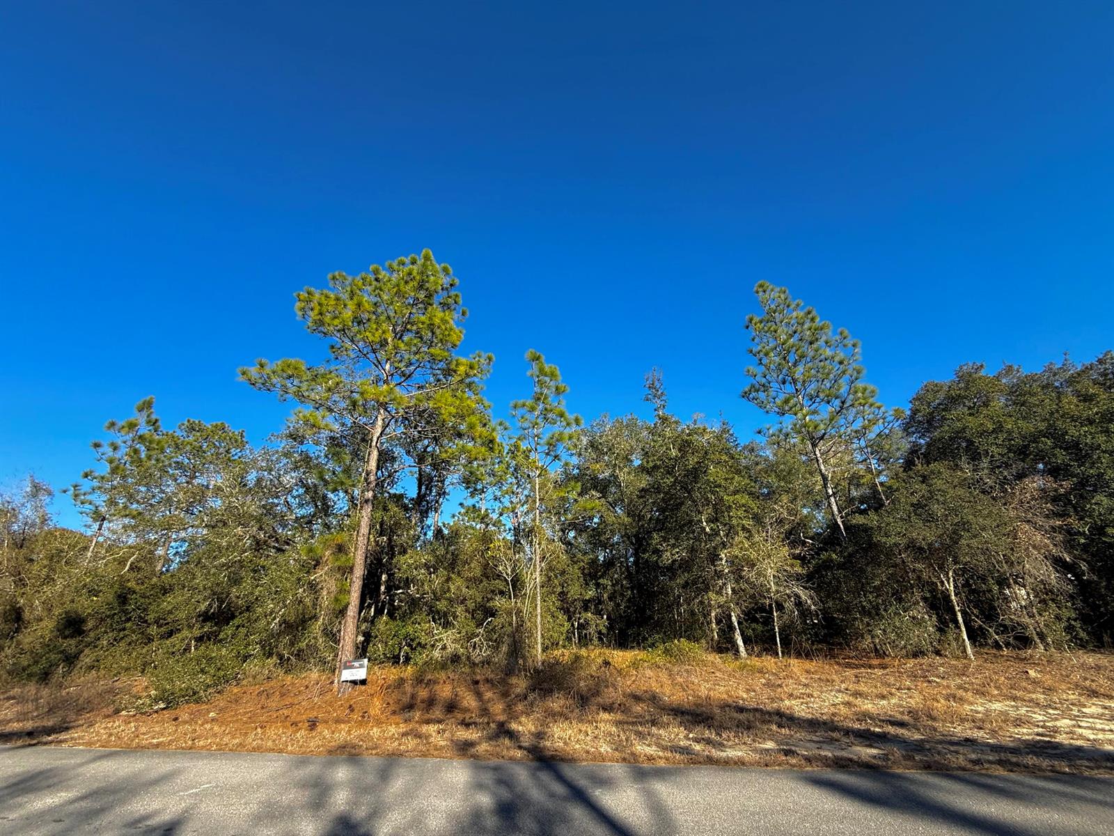   / 0  sq. ft. $ 2026-04-24 0 Photo