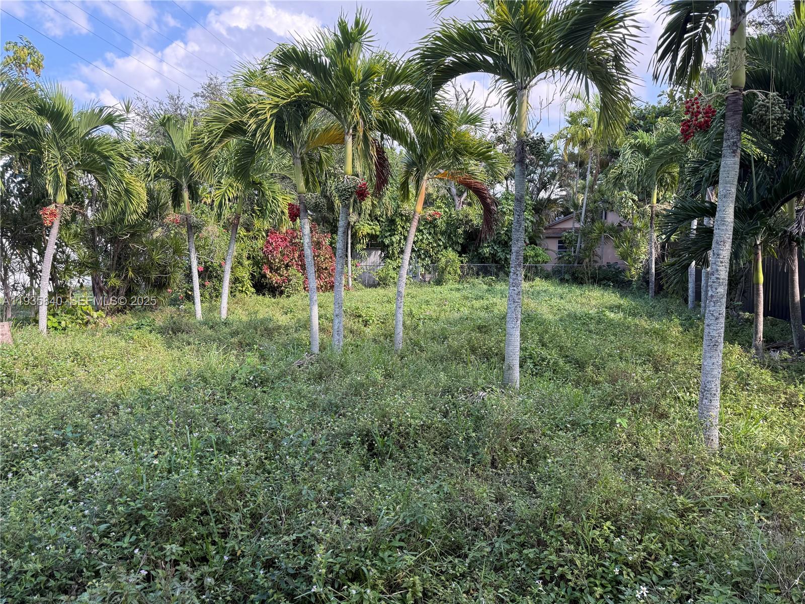 See details / sq. ft. $ 2025-12-28 0 Photo