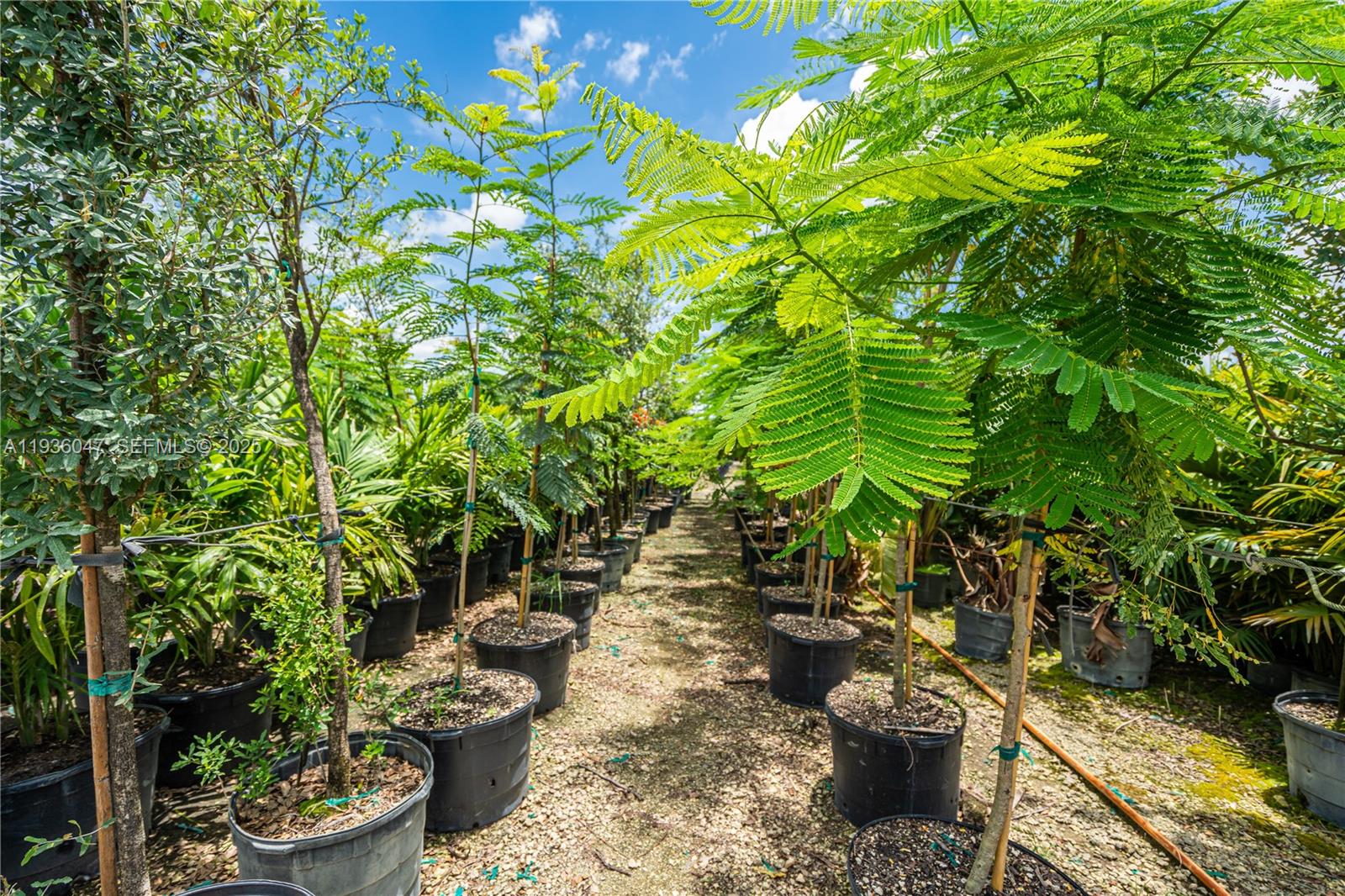 Ver detalles / sq. ft. $ 2026-01-30 0 foto