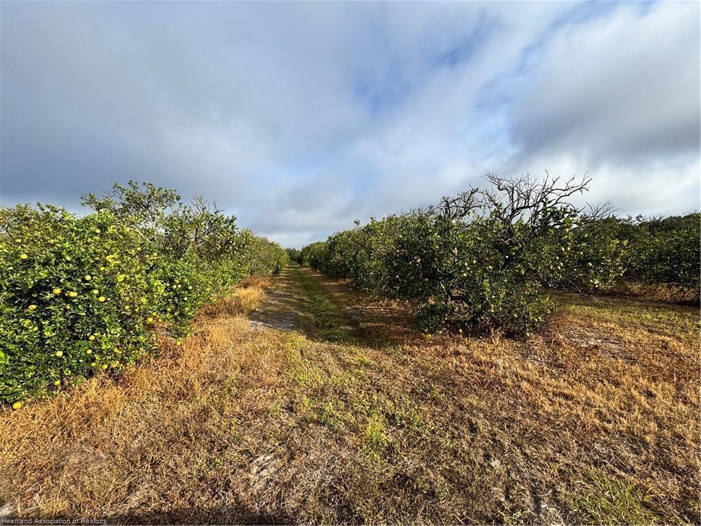 See details / 0 sq. ft. $ 2026-06-19 0 Photo