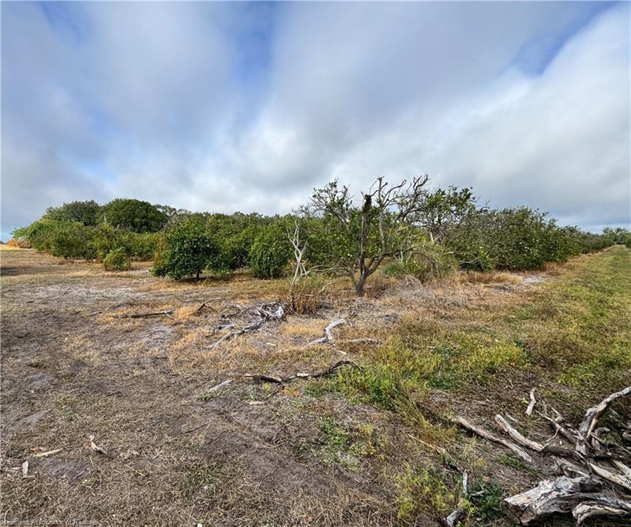 See details / 0 sq. ft. $ 2026-06-19 0 Photo