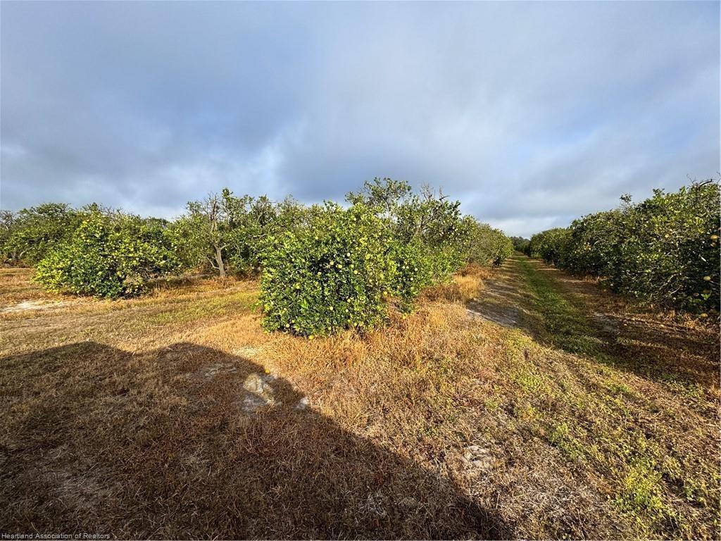 See details / 0 sq. ft. $ 2026-06-19 0 Photo