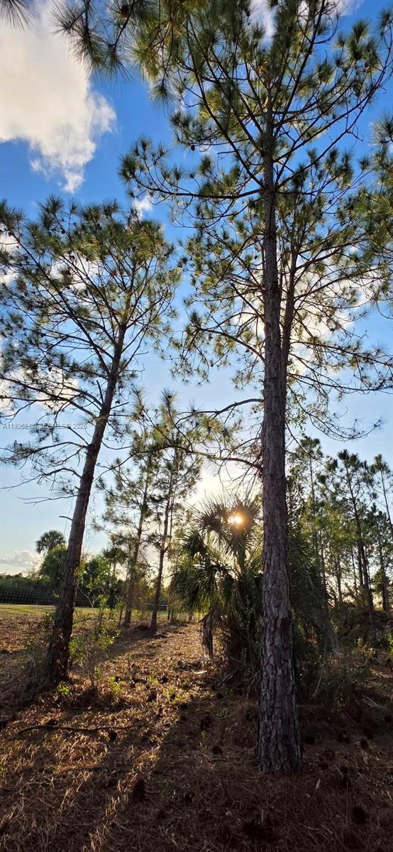 Ver detalles / sq. ft. $ 2026-01-15 0 foto