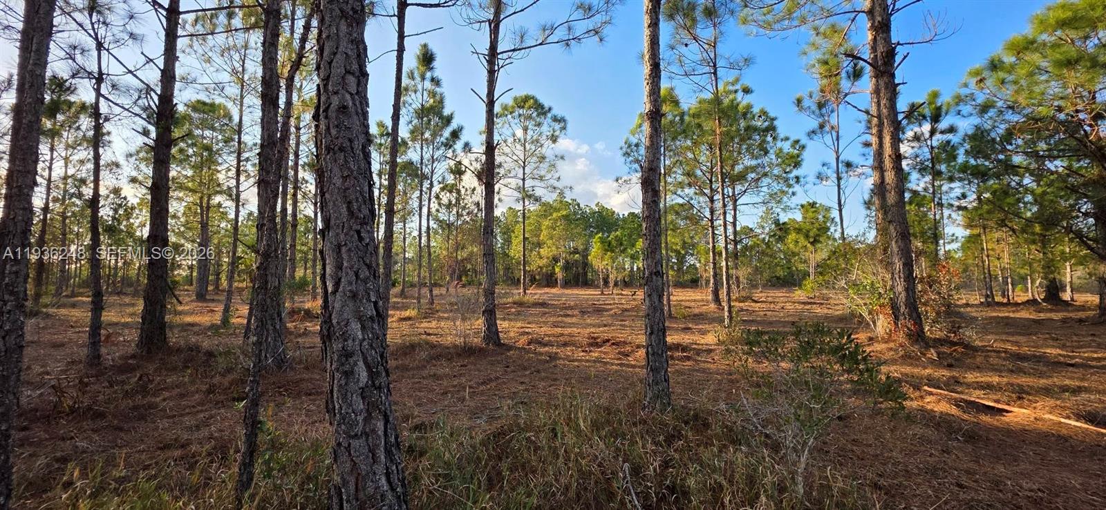 Ver detalles / sq. ft. $ 2026-01-15 0 foto