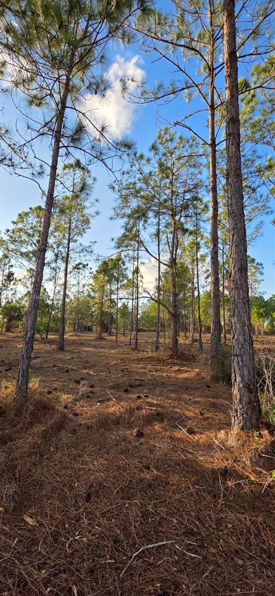 Ver detalles / sq. ft. $ 2026-01-15 0 foto