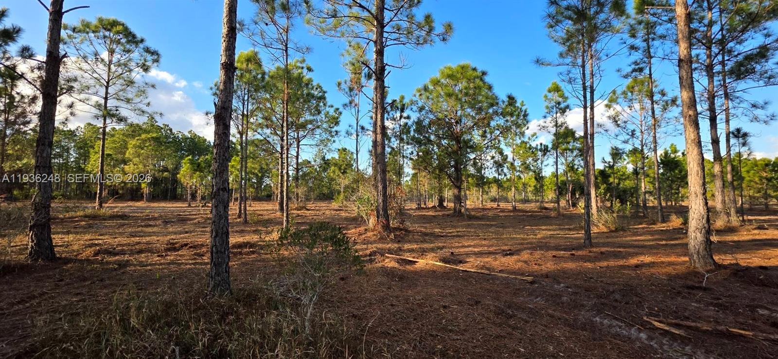 Ver detalles / sq. ft. $ 2026-01-15 0 foto