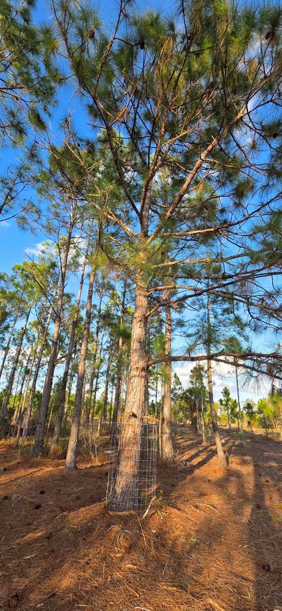 Ver detalles / sq. ft. $ 2026-01-15 0 foto