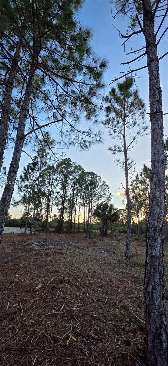   /   sq. ft. $ 2026-01-15 0 Photo