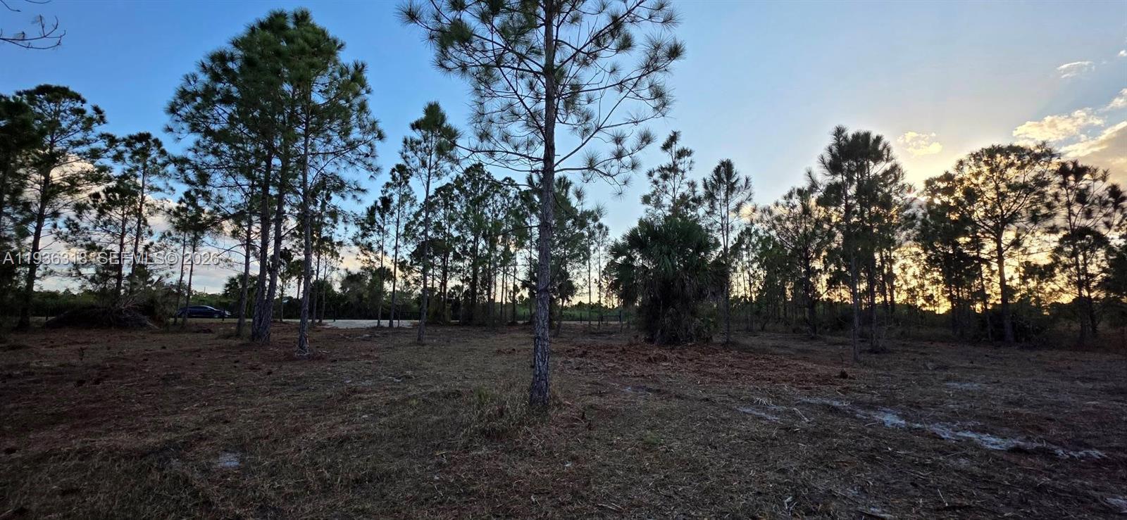   /   sq. ft. $ 2026-01-15 0 Photo