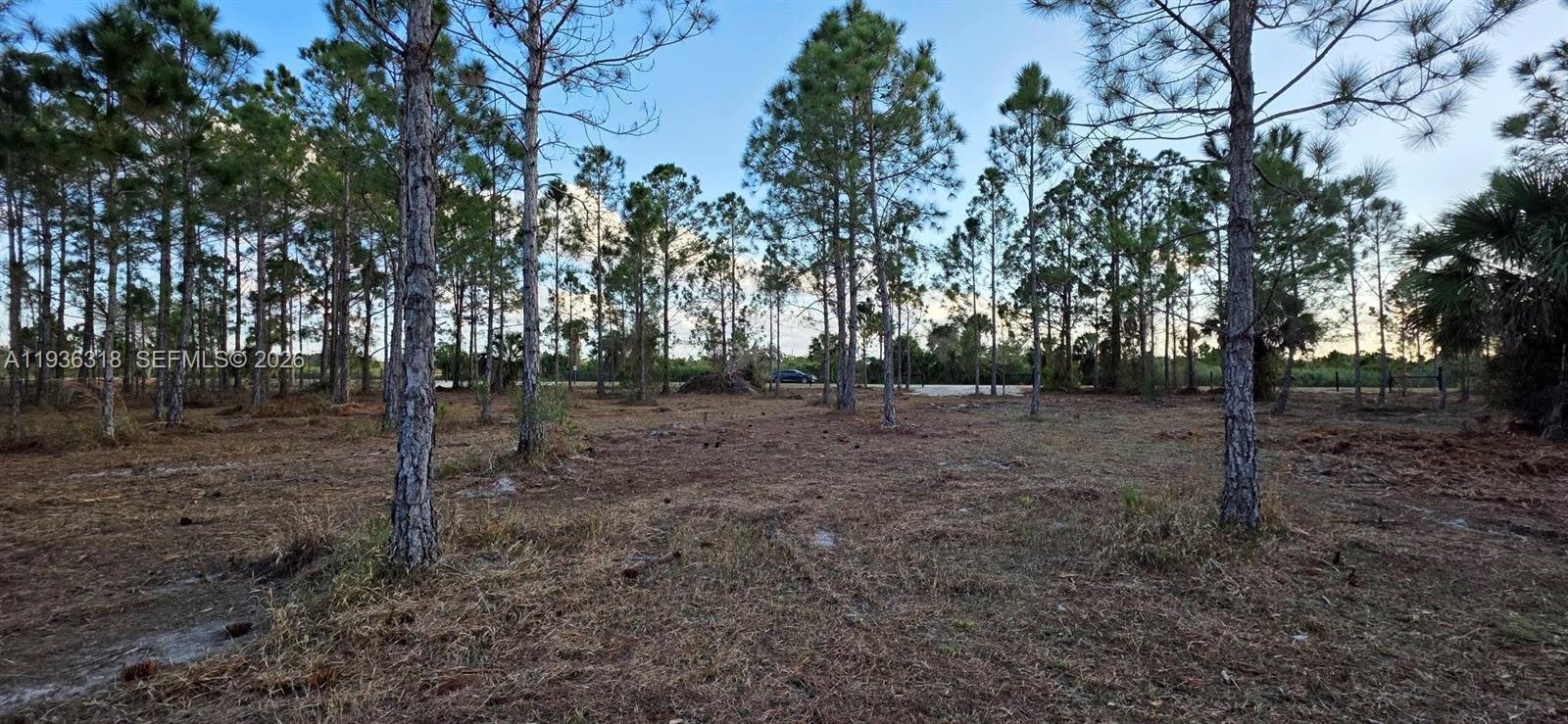   /   sq. ft. $ 2026-01-15 0 Photo