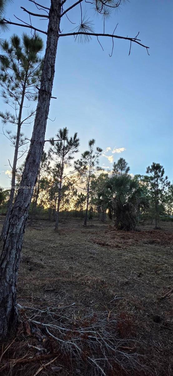   /   sq. ft. $ 2026-01-15 0 Photo