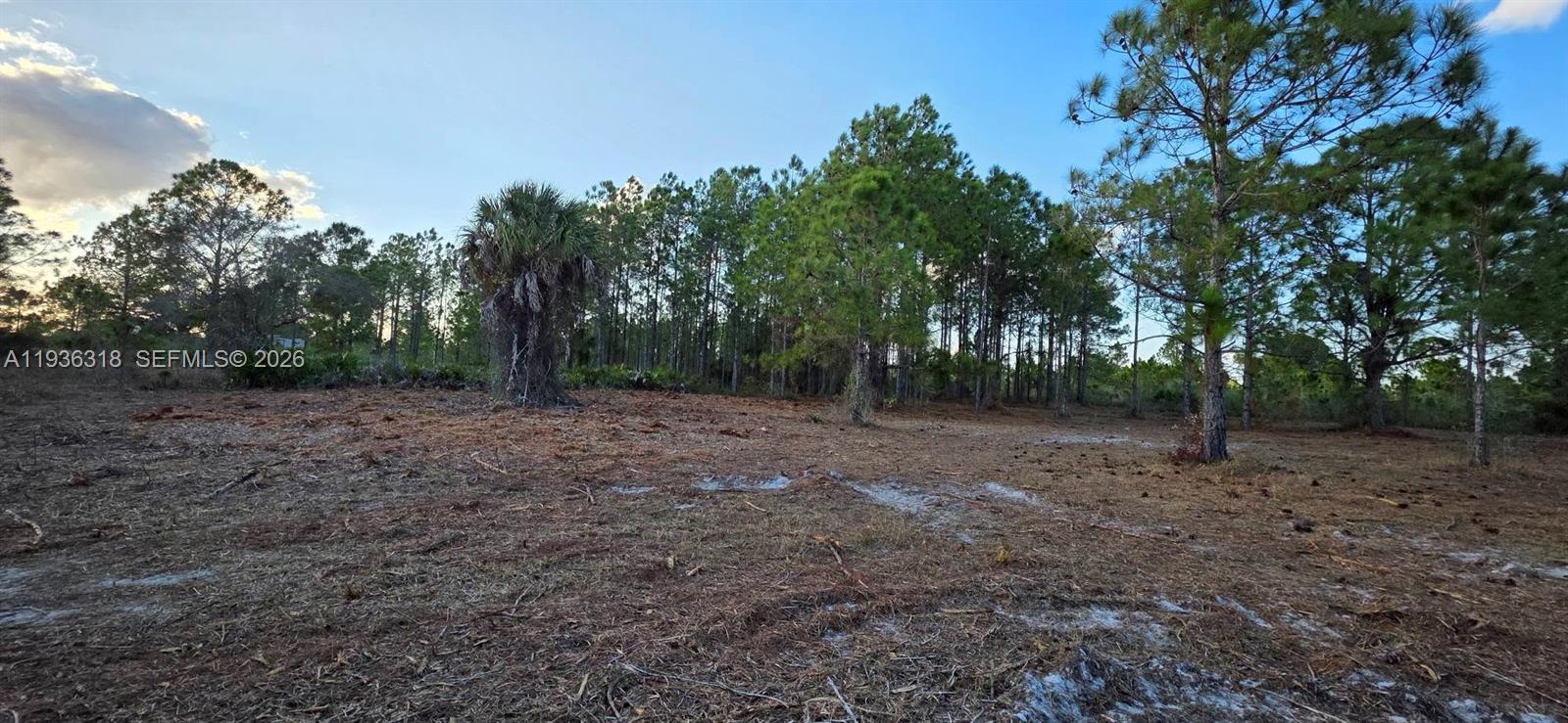   /   sq. ft. $ 2026-01-15 0 Photo