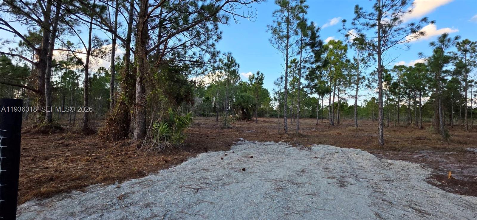   /   sq. ft. $ 2026-01-15 0 Photo