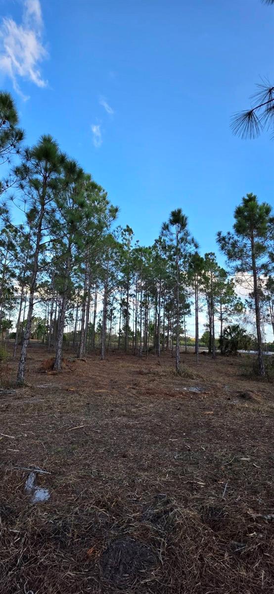   /   sq. ft. $ 2026-01-15 0 Photo