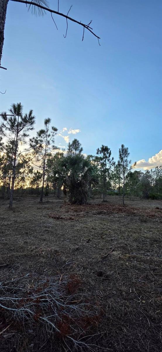   /   sq. ft. $ 2026-01-15 0 Photo