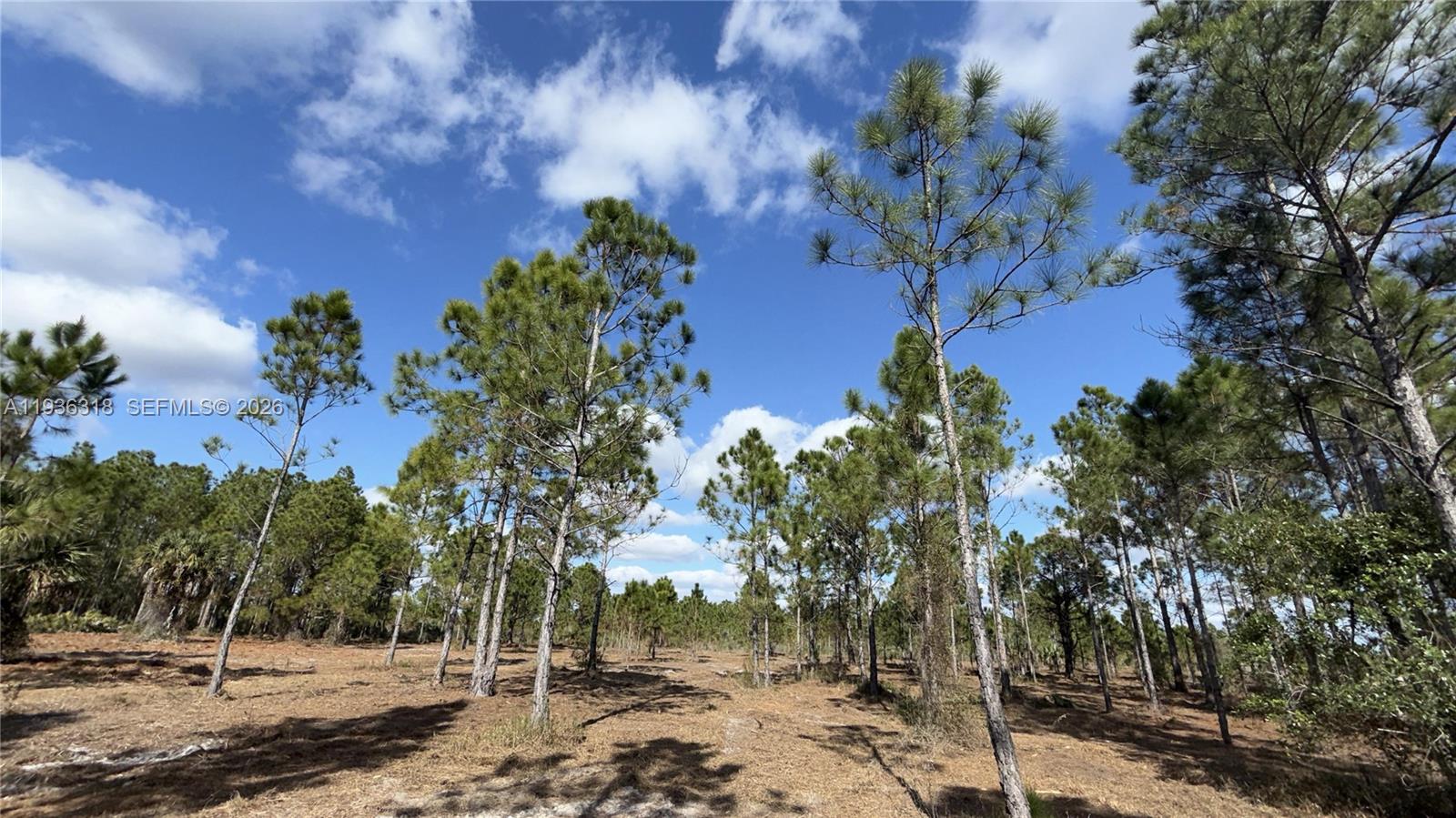   /   sq. ft. $ 2026-01-15 0 Photo