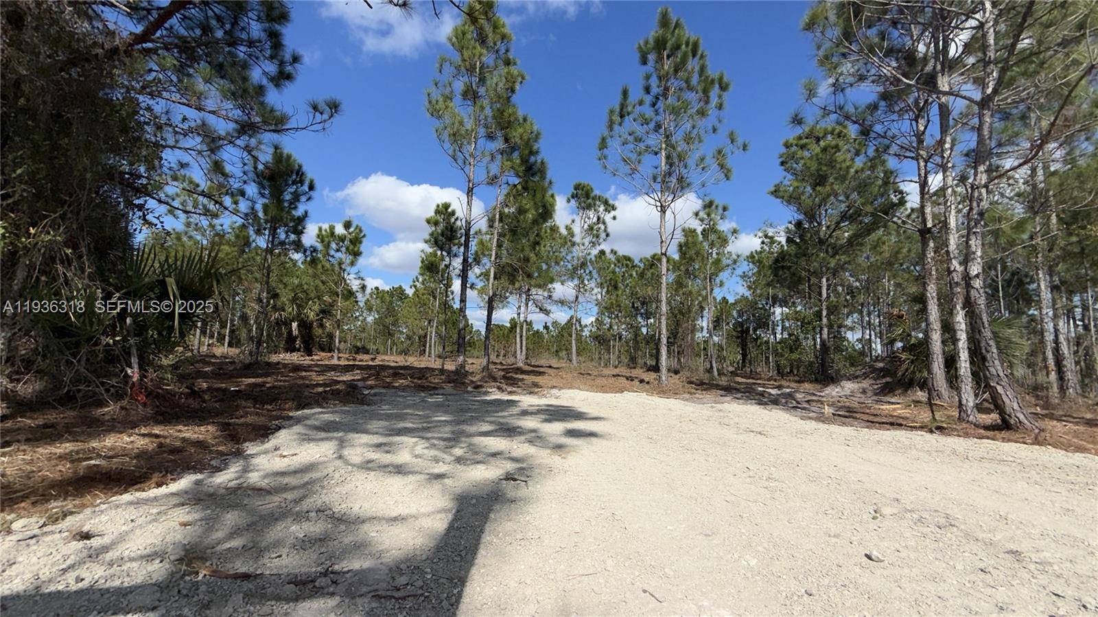 See details / sq. ft. $ 2025-12-29 0 Photo