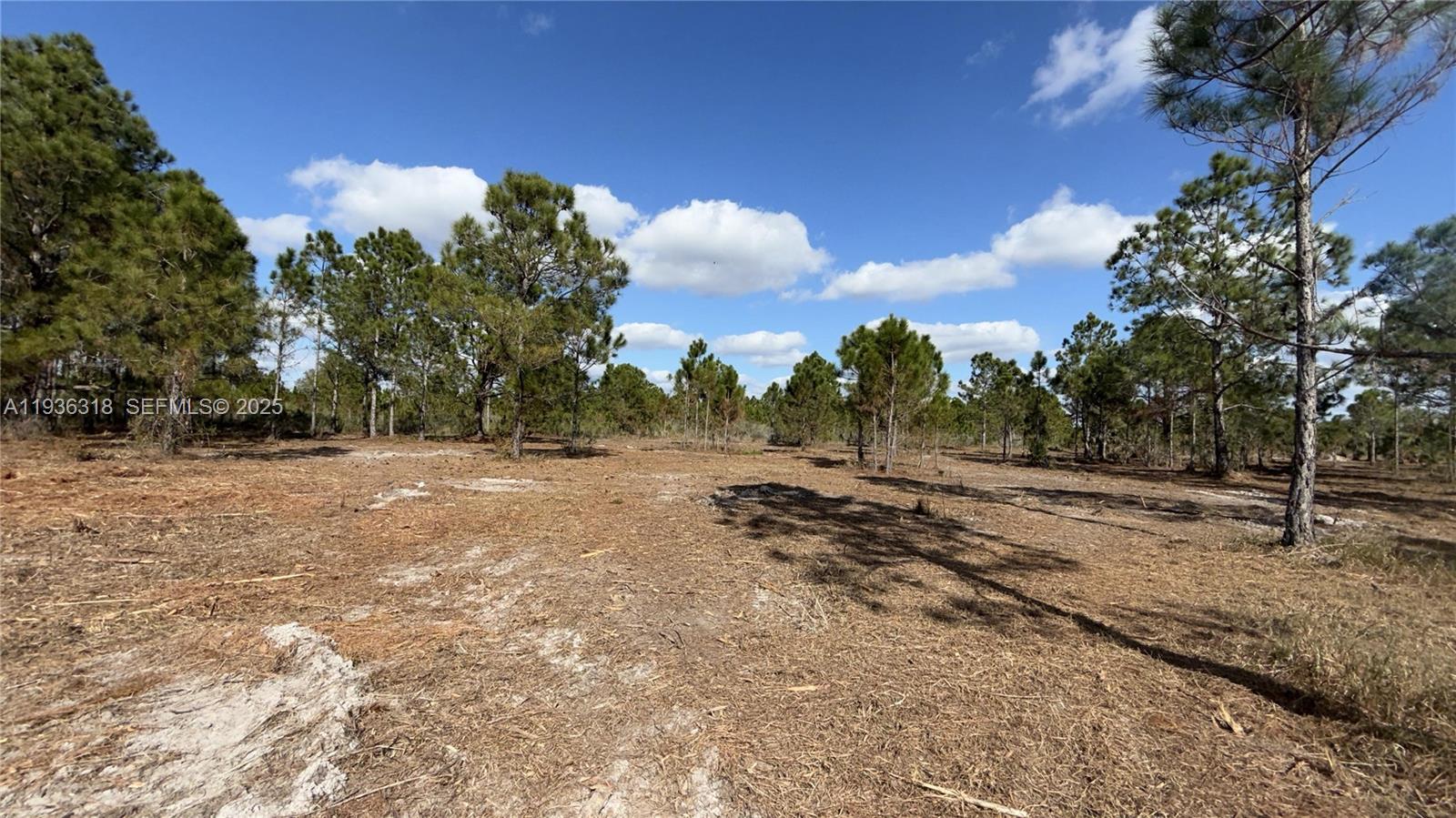 See details / sq. ft. $ 2025-12-29 0 Photo