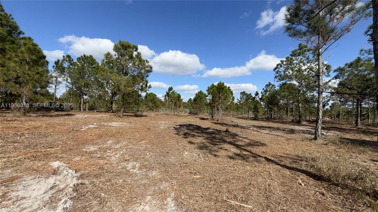 See details / sq. ft. $ 2025-12-29 0 Photo