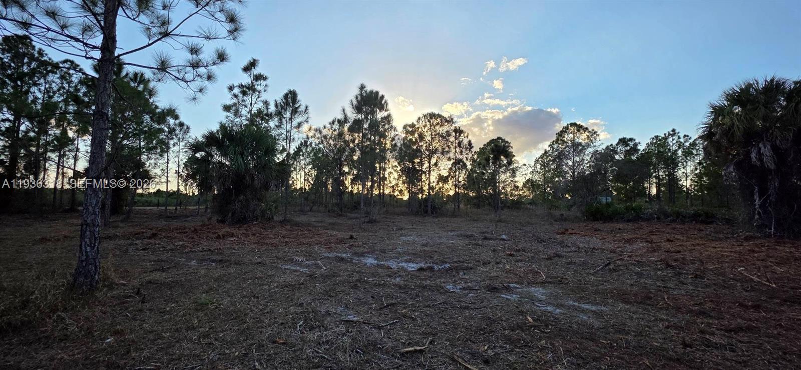   /   sq. ft. $ 2026-01-15 0 Photo