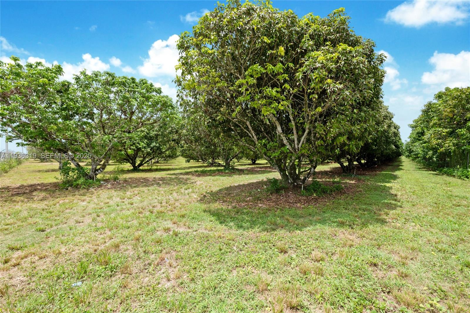   /   sq. ft. $ 2025-12-29 0 Photo