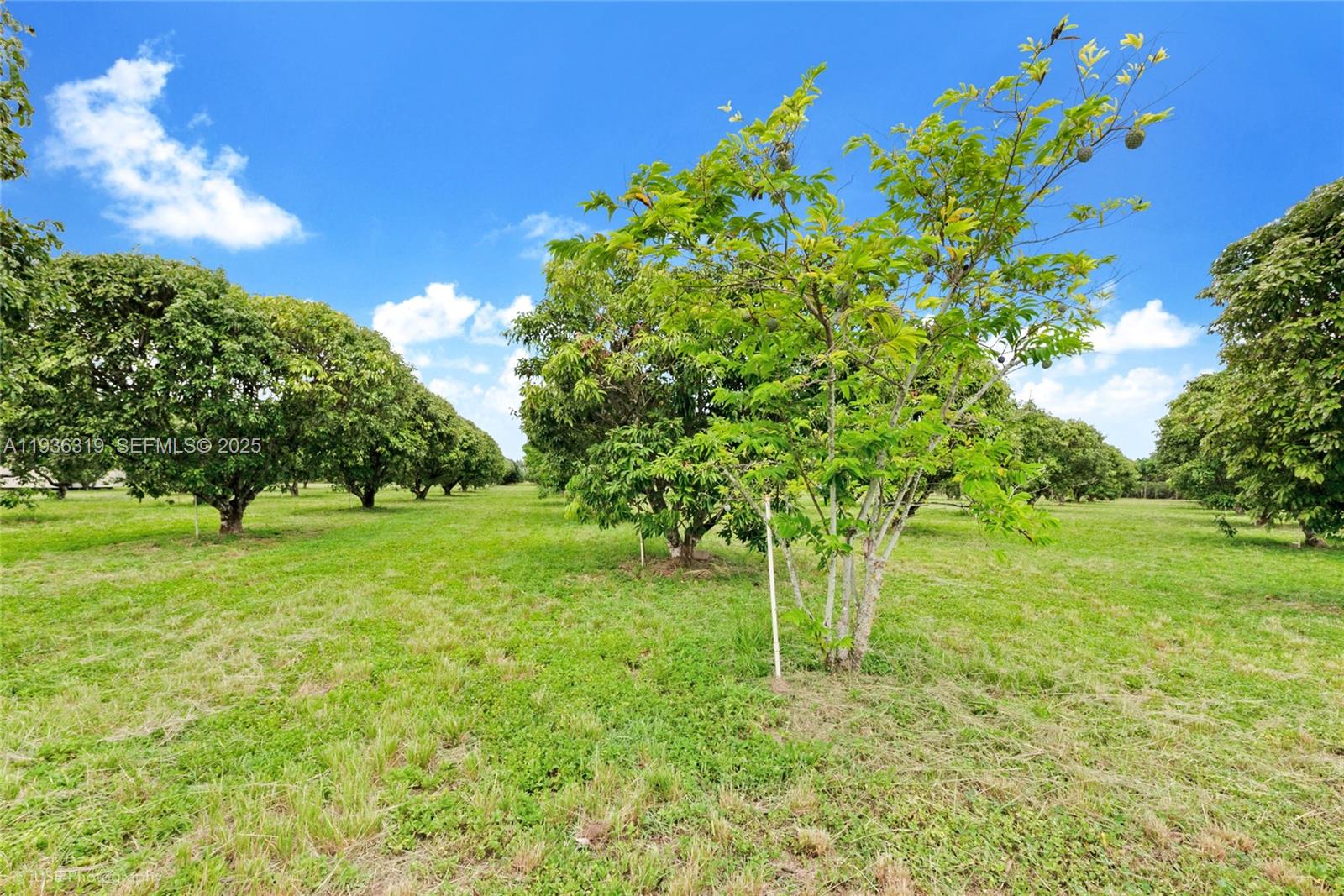   /   sq. ft. $ 2025-12-29 0 Photo