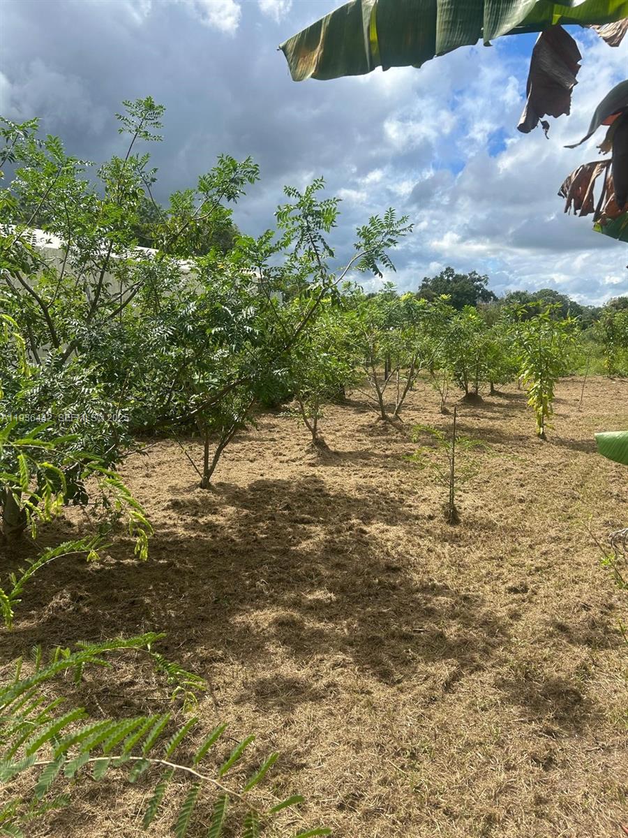 Ver detalles / sq. ft. $ 2025-12-30 0 foto