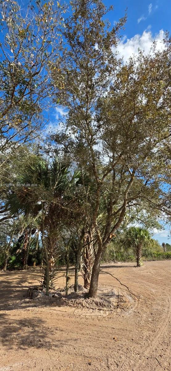 See details / sq. ft. $ 2026-01-15 0 Photo