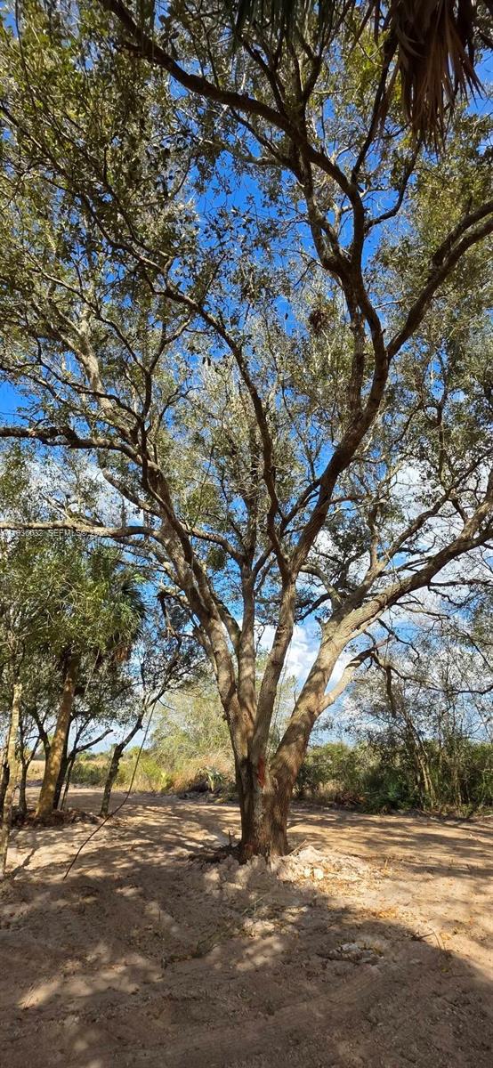 See details / sq. ft. $ 2026-01-15 0 Photo