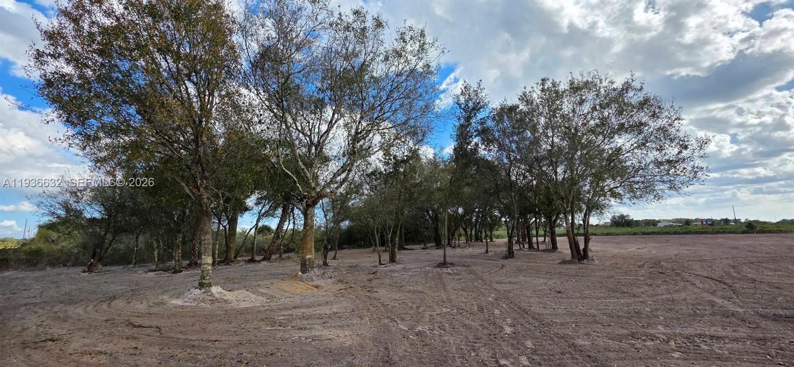 See details / sq. ft. $ 2026-01-15 0 Photo