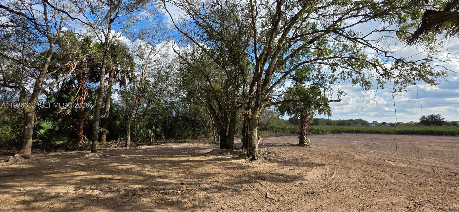 See details / sq. ft. $ 2026-01-15 0 Photo