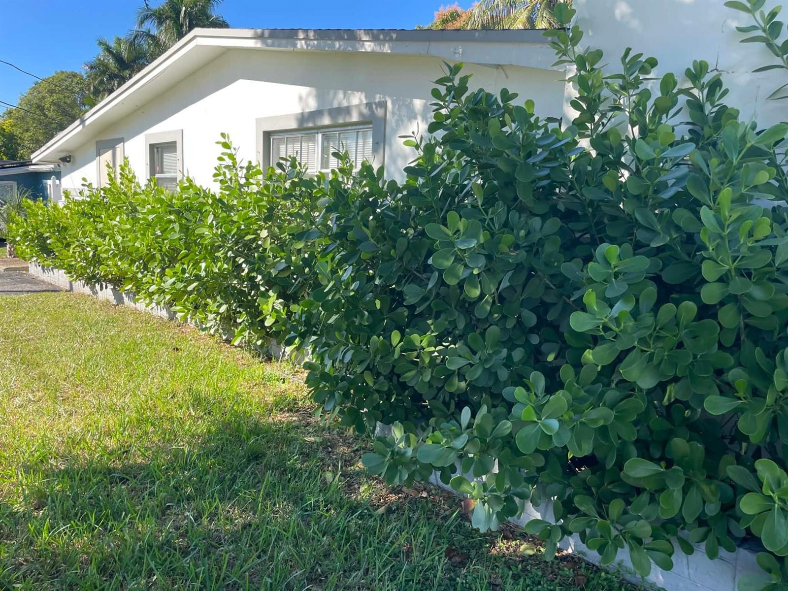 Ver detalles 4421 3 / 2 1368 sq. ft. $ 2026-06-22 0 foto