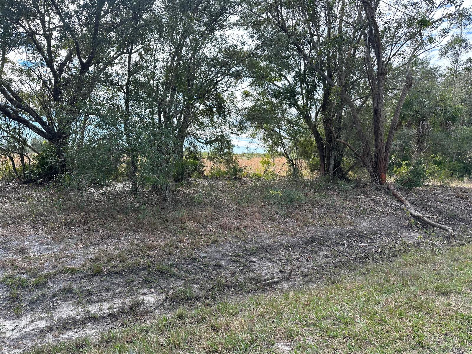   / 0  sq. ft. $ 2026-06-15 0 foto