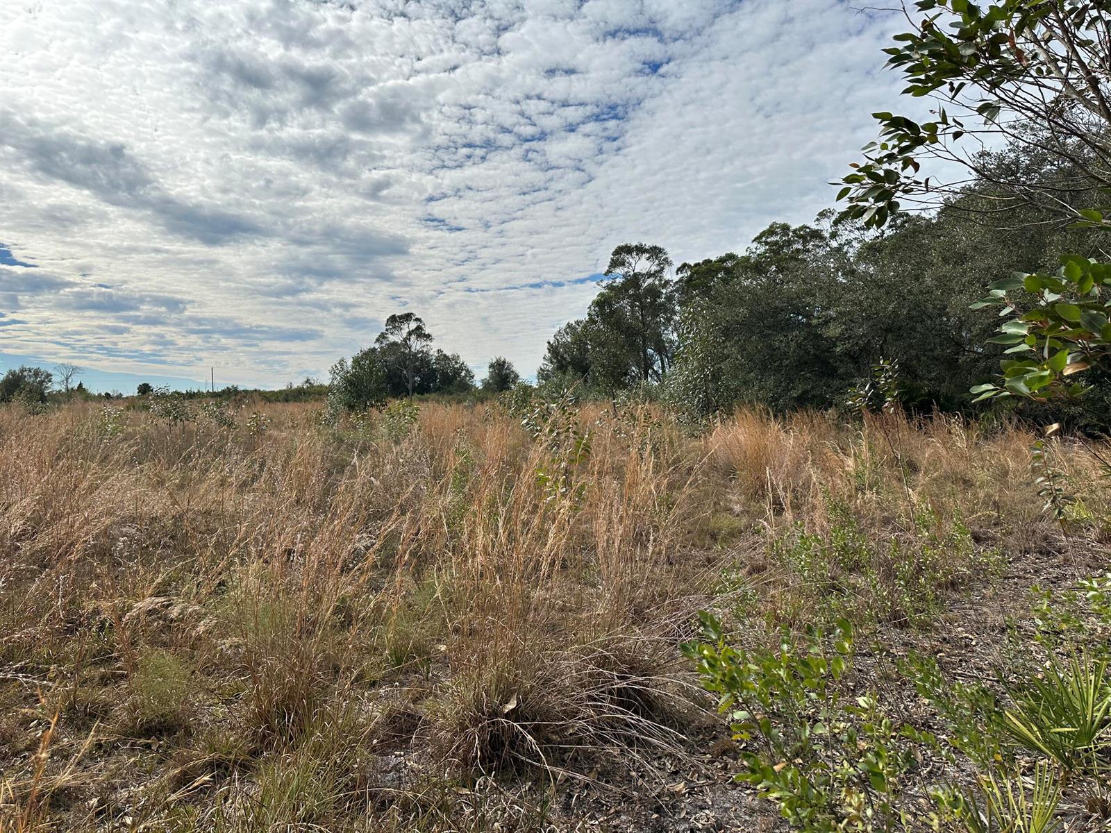   / 0  sq. ft. $ 2026-06-15 0 foto
