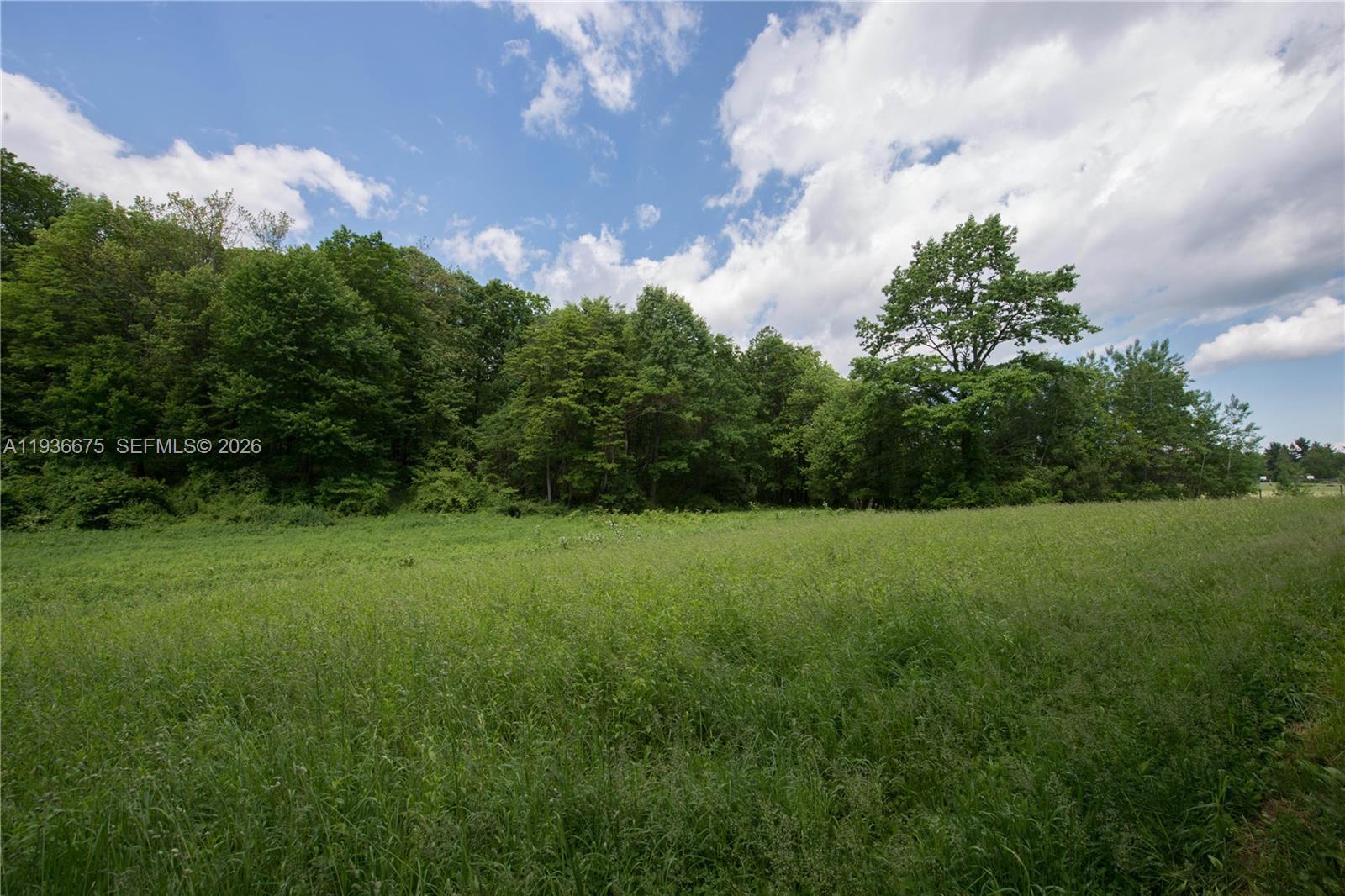 See details / sq. ft. $ 2025-12-30 0 Photo