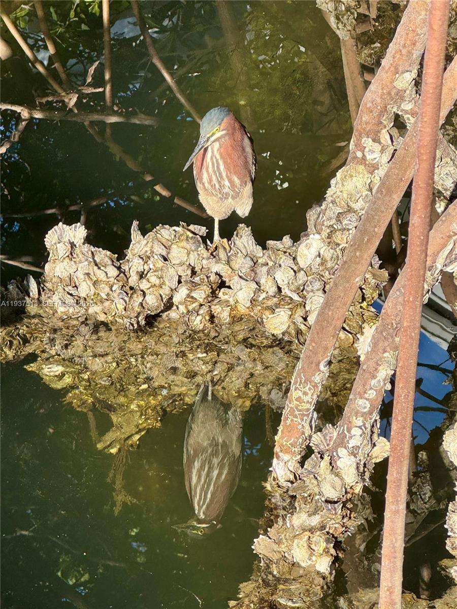 Photo of 3600 Mystic Pointe Dr  #1710, Aventura, Florida, 33180 - 