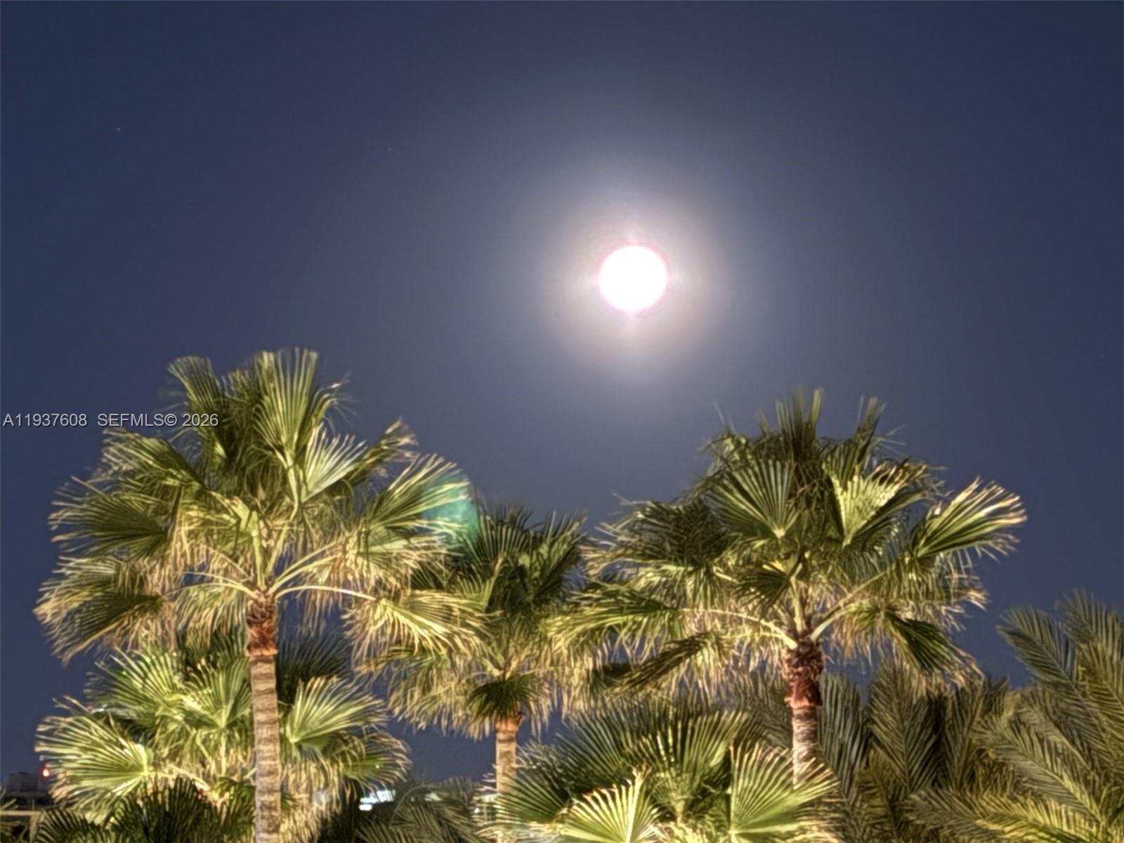 Photo of 17555 Collins Ave  #308, Sunny Isles Beach, Florida, 33160 - 