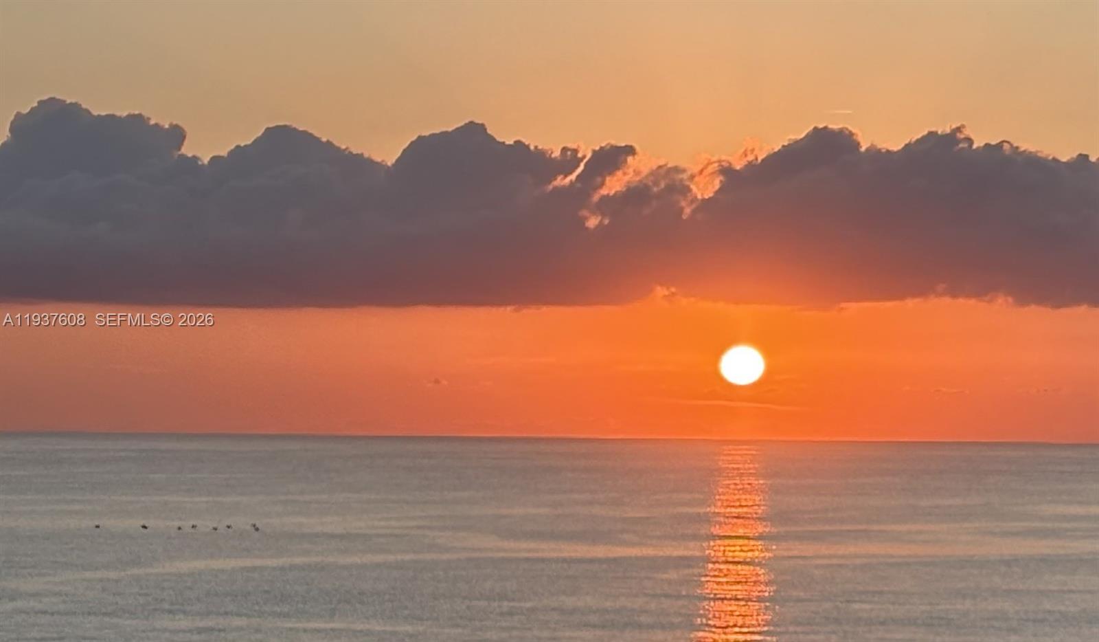 Photo of 17555 Collins Ave  #308, Sunny Isles Beach, Florida, 33160 - Sunrise